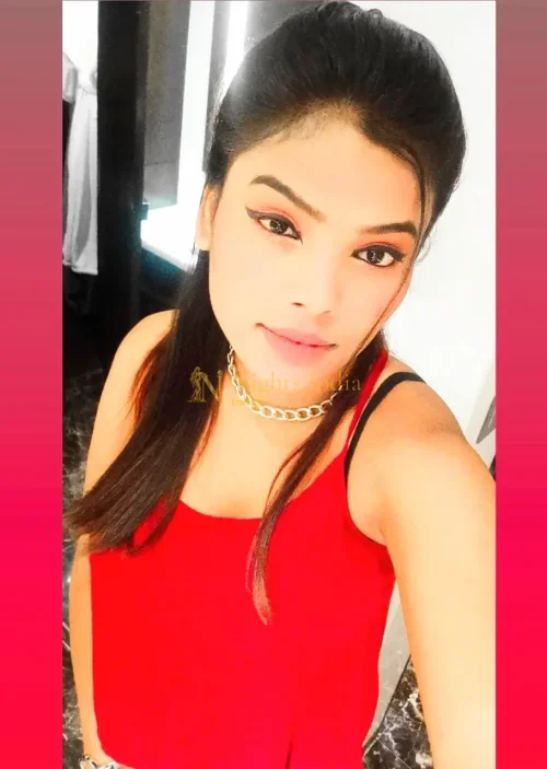 Escort Service in Sanathnagar Hyderabad – Incall Flats, Home Visits and Metro Meetings