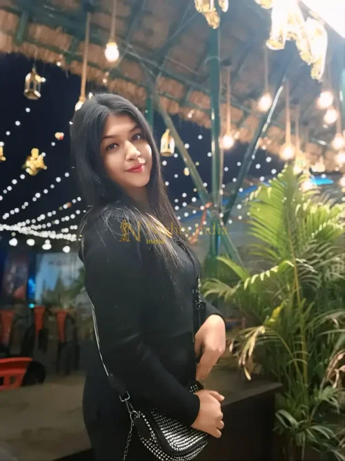 Anna Nagar Escorts – Stylish Companions Around Tower Park and 2nd Avenue